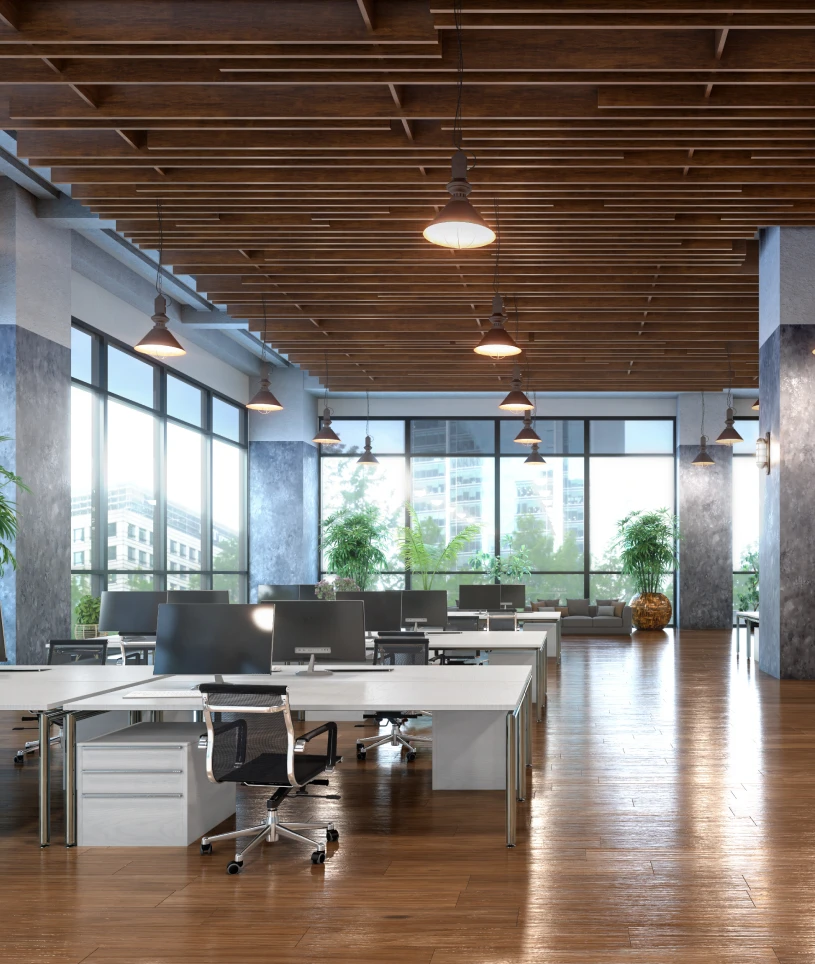 Woman working at desk in office.